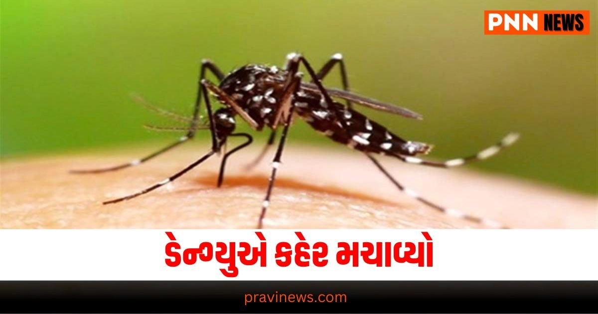 Dengue: ડેન્ગ્યુએ કહેર મચાવ્યો, અચાનક મળી આવ્યા 251 દર્દી, જો આ 3 લક્ષણો દેખાય તો સાવધાન! https://www.pravinews.com/international-news/monkeypox-reaches-asia-after-covid-19-death-rate-is-3-percent-31721