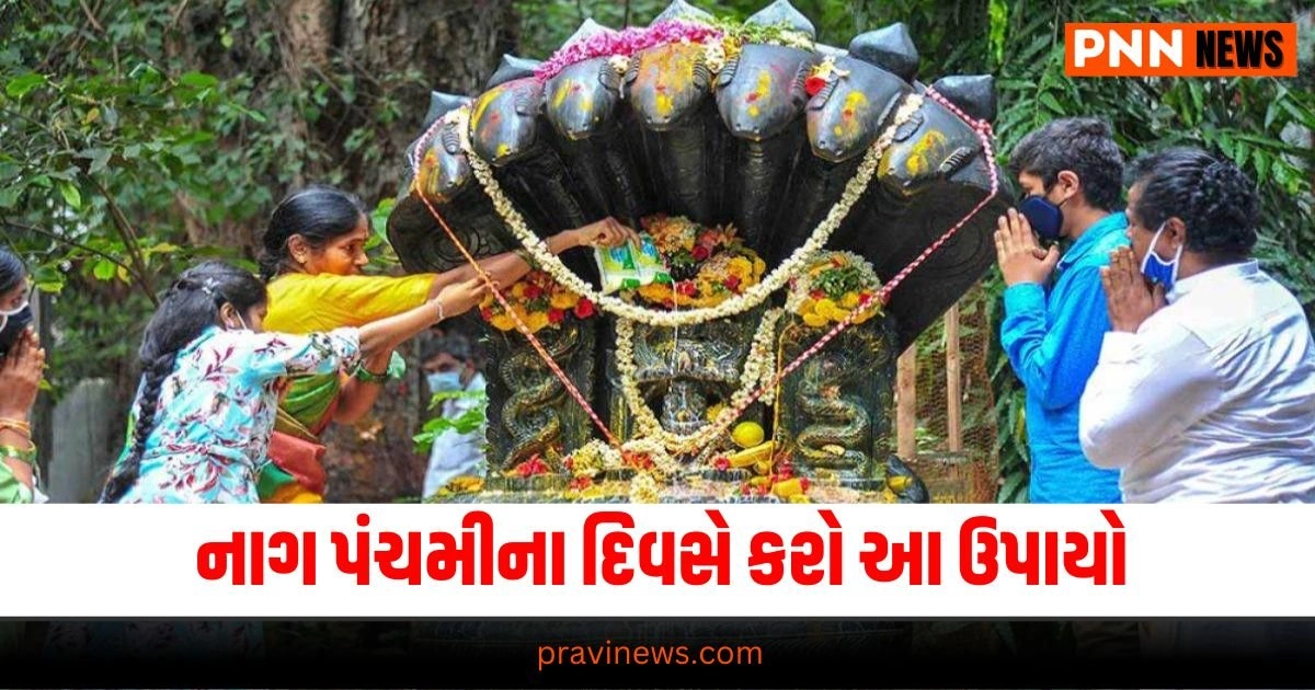 Nag Panchami: નાગ પંચમીના દિવસે કરો આ ઉપાયો, આ મંત્રોના જાપ કરવાથી કાલસર્પ દોષ દૂર થશે, તમારી બધી મનોકામનાઓ પૂર્ણ થશે https://www.pravinews.com/religion/astrology/nagpanchami-upay-nag-panchami-puja-vidhi-manokamana-purti-mantra-nag-panchami-parampara-rahu-ketu-dosh-remedies-remove-kaal-sarp-dosh-wishes-will-be-fulfilled-28128