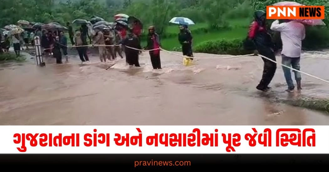 Gujarat Flood, Dangs Flood, Navsari Flood, Flood Situation, Police Rescue, Flood Relief, Disaster Management, Monsoon Impact, Flood Rescue Operation, Tourist Evacuation, Flood Crisis, Emergency Response, Gujarat Monsoon, Flooded Areas, Heavy Rainfall, Rescue Efforts, Flood Victims, Weather Alert, Safety Measures, Flood Evacuation,