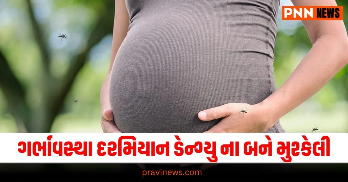 Pregnancy safety, dengue prevention, mosquito control, maternal health Dengue risks, pregnancy complications, fetal health, precautions Pregnancy tips, healthy pregnancy, dengue prevention, vaccination Mosquito-borne diseases, pregnancy safety,