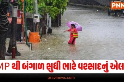 National News, breaking news india, National News Headlines, india news, india news live, india news today, national news, national news headlines, national news india, news headlines india, news today india, today's national news, Current National Update, Pravi News Network, Pravi National News, National Live Update In Pravi News Network, Pravi News National Hedline, Live National News,