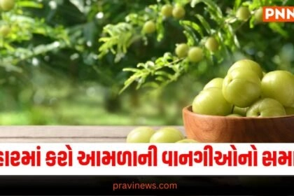 Amla Recipes