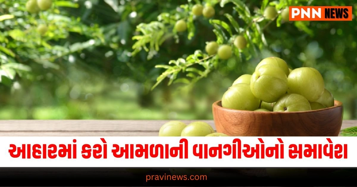 Amla Recipes