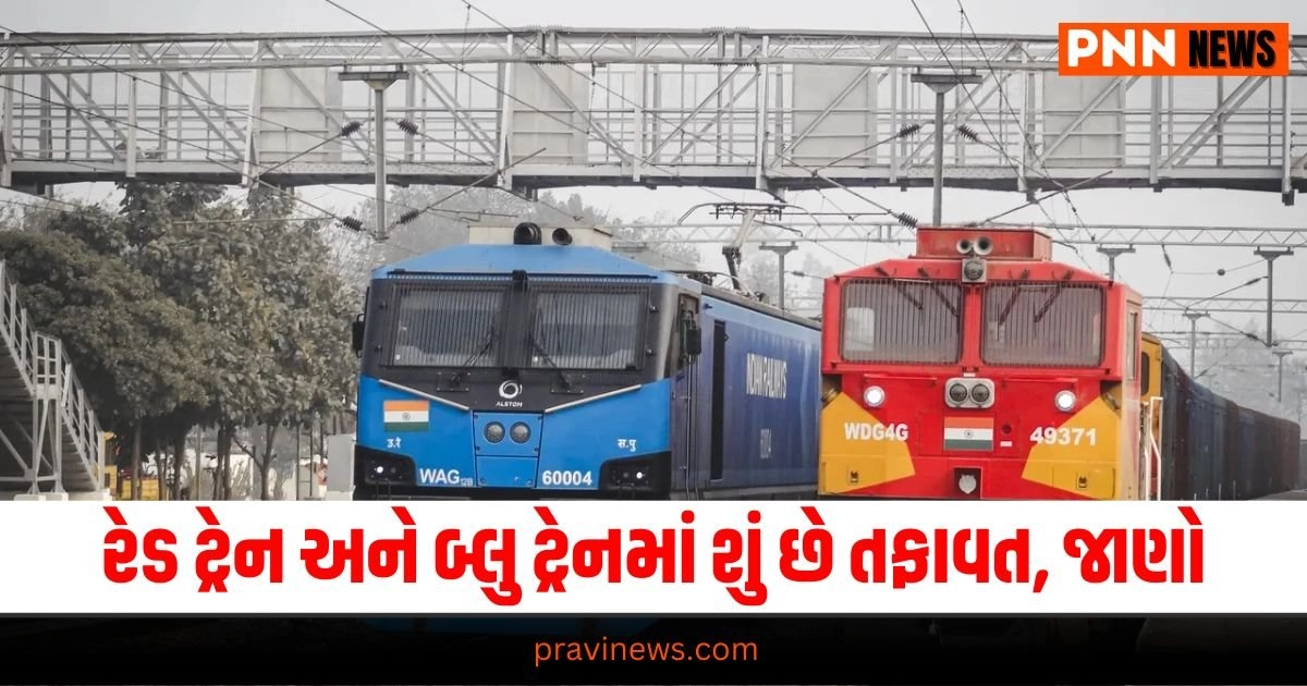 Red and Blue Train Coaches Difference: રેડ ટ્રેન અને બ્લુ ટ્રેનમાં શું છે તફાવત, જાણો https://www.pravinews.com/lifestyle/health-fitness/high-risk-hpv-increases-infertility-risk-in-men-31714