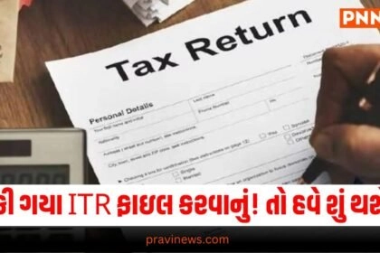 Income Tax Return , Latest Business News, Live Business Update, Business Headline, Today’s Business Update, Current Business News, Business Live Updates In Pravi News Network, Business News, Business Update,