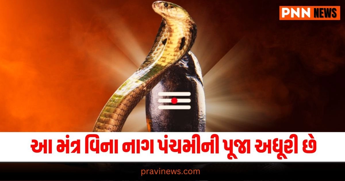 Nag Panchami: આ મંત્ર વિના નાગ પંચમીની પૂજા અધૂરી છે, આ રીતે કરો જાપ https://www.pravinews.com/religion/astrology/nagpanchami-upay-nag-panchami-puja-vidhi-manokamana-purti-mantra-nag-panchami-parampara-rahu-ketu-dosh-remedies-remove-kaal-sarp-dosh-wishes-will-be-fulfilled-28128