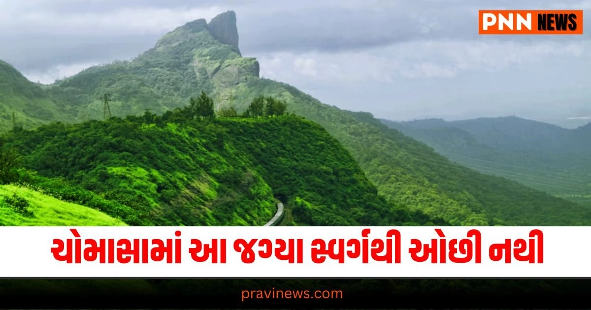 Bhander Range Forest, Monsoon Getaway, Madhya Pradesh Tourism, Rainy Day Destinations,Forest Trekking