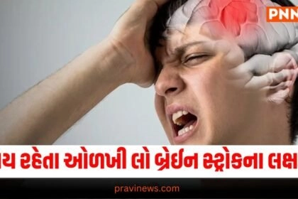 "Heatwave, Summer, Scorching Heat, Brain Stroke, Stroke, Preventive Measures, causes of Brain Stroke" બ્રેઈન સ્ટ્રોક, ગરમી, હીટવેવ, હેલ્થ, latest news in gujarati
