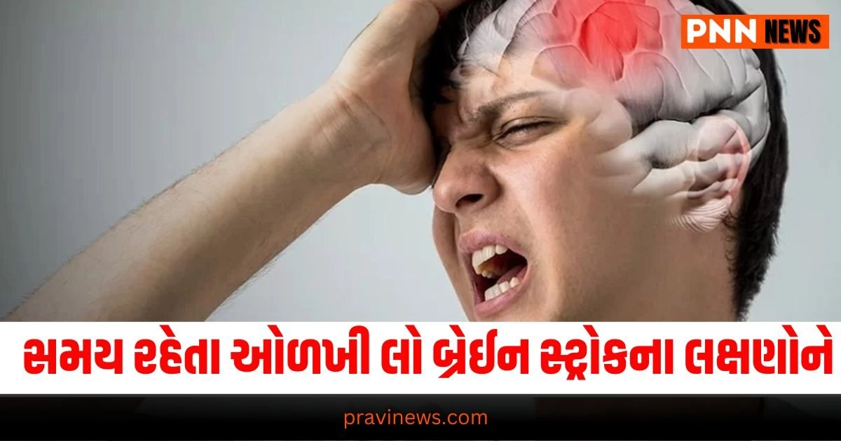 "Heatwave, Summer, Scorching Heat, Brain Stroke, Stroke, Preventive Measures, causes of Brain Stroke" બ્રેઈન સ્ટ્રોક, ગરમી, હીટવેવ, હેલ્થ, latest news in gujarati