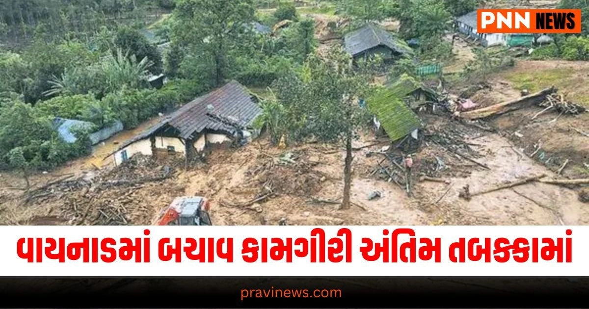 Wayanad Landslide, Search and Rescue, Rescue Operations, Final Stage, Missing People, Wayanad Disaster, Landslide Recovery, Emergency Response, Rescue Efforts, Current Situation, Natural Disaster, Wayanad Update, Ongoing Search, Victim Count, Disaster Management, Recovery Phase, Missing Persons