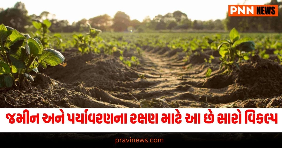 Gujarat News : જમીનના સ્વાસ્થ્ય અને પર્યાવરણના રક્ષણ માટે આ છે સૌથી સારો વિકલ્પ https://www.pravinews.com/gujarat-news/two-tribals-were-mob-lynched-near-the-statue-of-unity-in-gujarat-28156