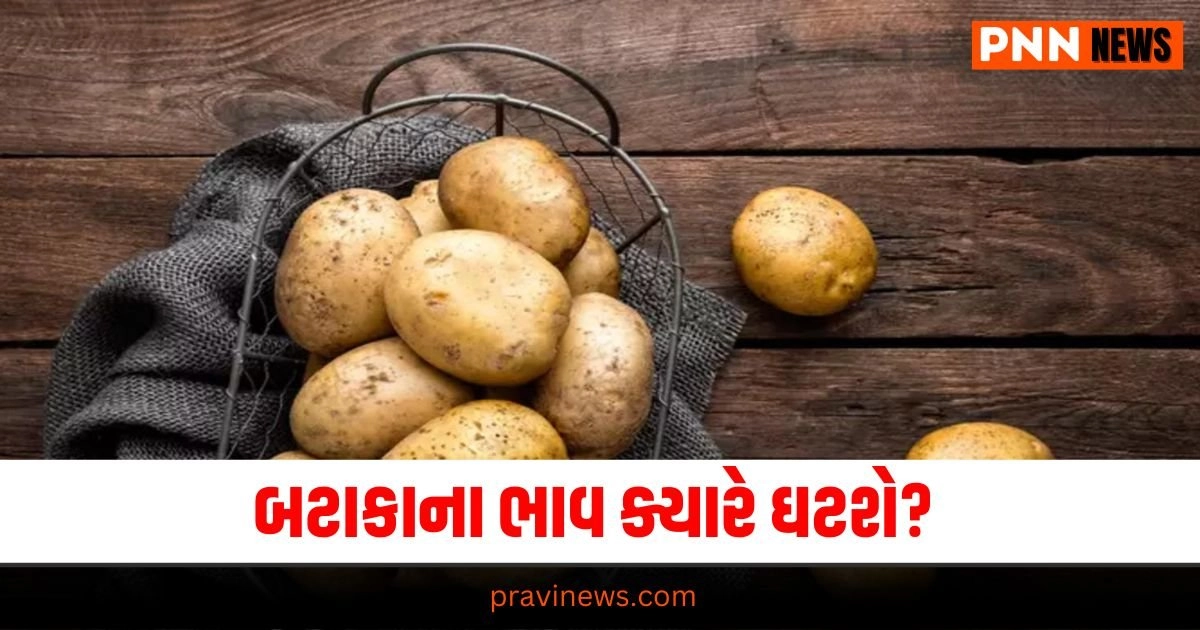 Potato Price, Price Drop, Potato Rates, State Tension, Market Trends, Potato Market, Price Fluctuations, Agricultural Impact, State Decisions, Market Supply, Price Surge, Cost Analysis, Potato Crisis, Price Prediction, Market Update,