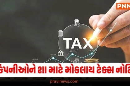 National News, National News, breaking news india, National News Headlines, india news, india news live, india news today, national news, national news headlines, national news india, news headlines india, news today india, today's national news, Current National Update, Pravi News Network, Pravi National News