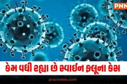 National News, National News, breaking news india, National News Headlines, india news, india news live, india news today, national news, national news headlines, national news india, news headlines india, news today india, today's national news, Current National Update, Pravi News Network, Pravi National News