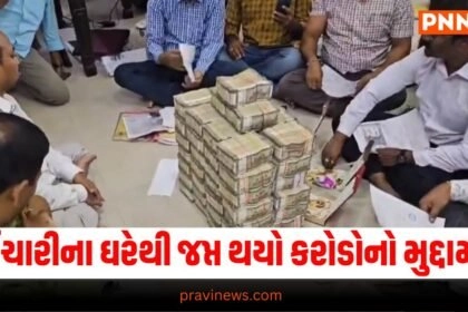 National News, breaking news india, National News Headlines, india news, india news live, india news today, national news, national news headlines, national news india, news headlines india, news today india, today's national news, Current National Update, Pravi News Network, Pravi National News, National Live Update In Pravi News Network, Pravi News National Hedline, Live National News,