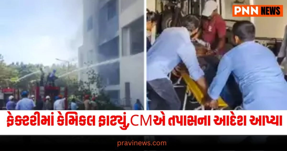 National News: ફેક્ટરીમાં કેમિકલ ફાટ્યું, CM ચંદ્રબાબુએ તપાસના આદેશ આપ્યા https://www.pravinews.com/business/gov-firm-hydropower-company-nhpc-share-latest-target-price-is-here-31636