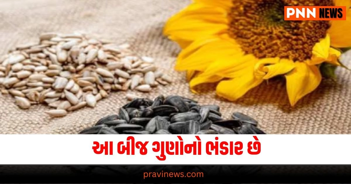 Health News : આ બીજ ગુણોનો ભંડાર છે, તમારા આહારમાં સામેલ કરી લો તો તમને ક્યારેય પસ્તાવો થશે નહીં. https://www.pravinews.com/religion/shani-nakshatra-parivartan-2024-these-zodiac-signs-may-be-in-trouble-before-rakshabandhan-29857