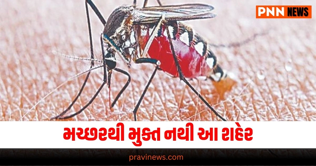 Chhattisgarh News: મચ્છરથી મુક્ત નથી આ શહેર, ફોગિંગ અને દવાનો છંટકાવ ક્યાંય થયો નથી. https://www.pravinews.com/world-news-in-gujarati/sunita-williams-in-space-will-india-help-to-bring-her-back-isro-chief-somanath-says-at-this-time-31764