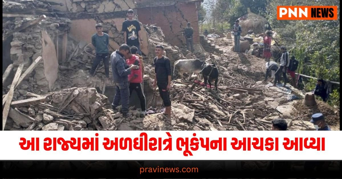 Earthquake : આ રાજ્યમાં અળઘીરાત્રે ભૂકંપના આચકા આવ્યા, લોકો થયા ચિંતિત https://www.pravinews.com/food/independence-day-2024-celebrate-this-special-dish-with-tricolor-rice-tiranga-pulao-note-down-the-easy-recipe-28923