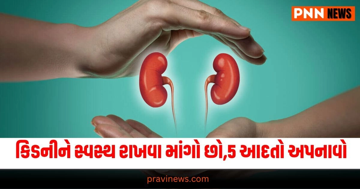 Which fruit is best for kidney health?,Which dry fruit is best for the kidneys?,Which fruit juice is best for the kidneys?,Is litchi fruit good for kidney patients?,how to keep kidney healthy,Fruits for kidney,Fruits for kidney in Gujarati,Best fruits for kidney health,kidney health,fruits for healthy kidneys,6 fruits for healthy kidneys in Gujarati,benefits of eating fruits in gujarati,6 best fruits for healthy kidneys in gujarati,chronic kidney disease,kidney diet,gurda ko healthy rakhne ke liye kya khaye,gurda ko healthy rakhne wale food in gujarati,gurda ko healthy rakhne wale fruits,gurda ko healthy rakhne wale fal,gurda ko healthy rakhne wale fal ka naam,gurda ko healthy rakhne wale fal kaun sa hai,કિડની માટે કયું ફળ સારું છે,કિડનીનું કાર્ય શું છે,કિડનીને સ્વસ્થ રાખવાની ટિપ્સ,કિડનીને સ્વસ્થ રાખતા ફળો,કિડની માટે ફાયદાકારક ફળો,કિડનીની બીમારીમાં કયા ફળો ન ખાવા જોઈએ"