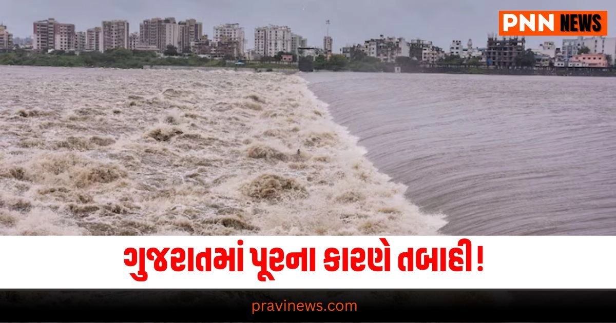 Gujarat Flood 2024, Latest News in Gujarati