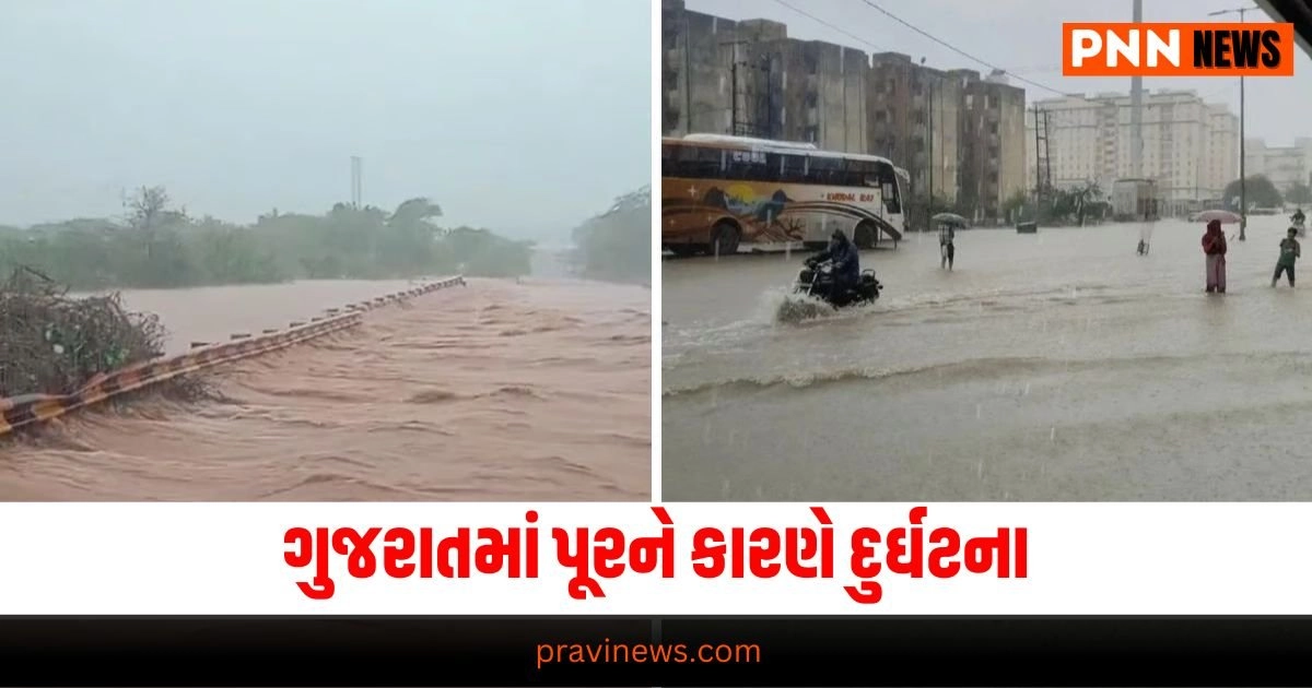 Gujarat, weather news, gujarat weather condition