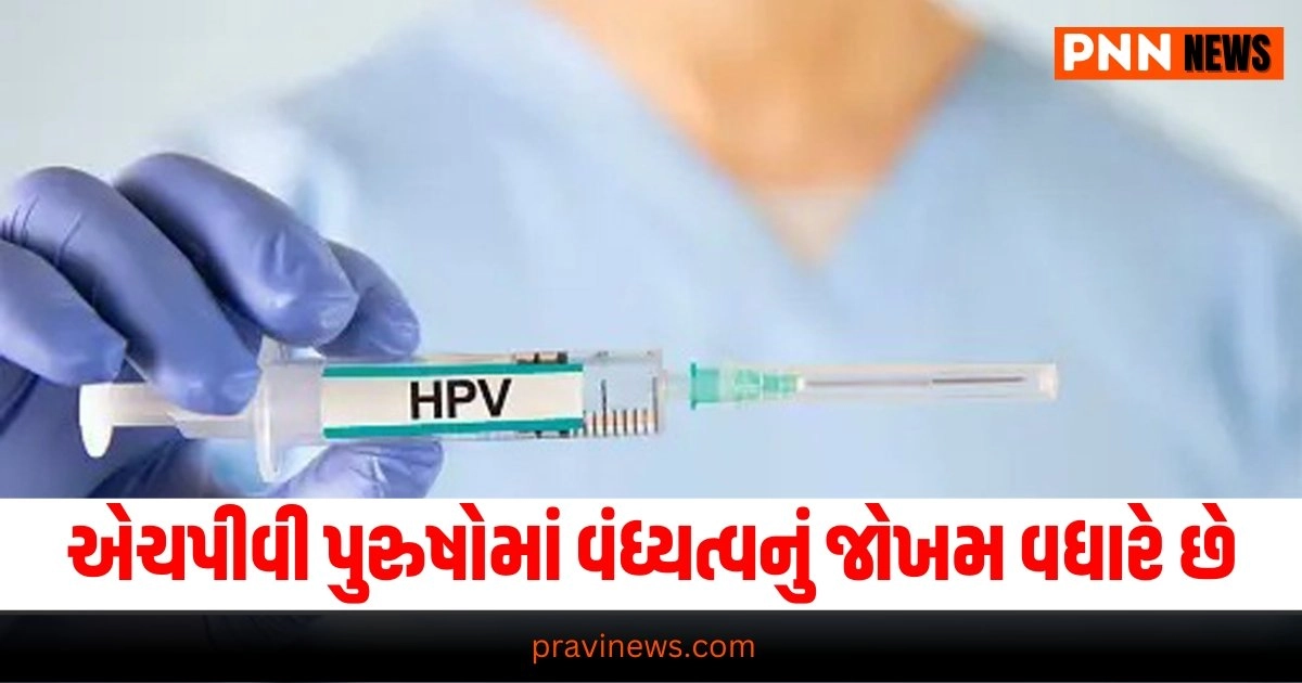 HPV Alert : વધુ જોખમ ધરાવતા એચપીવી પુરુષોમાં વંધ્યત્વનું જોખમ વધારે છે https://www.pravinews.com/lifestyle/health-fitness/high-risk-hpv-increases-infertility-risk-in-men-31714