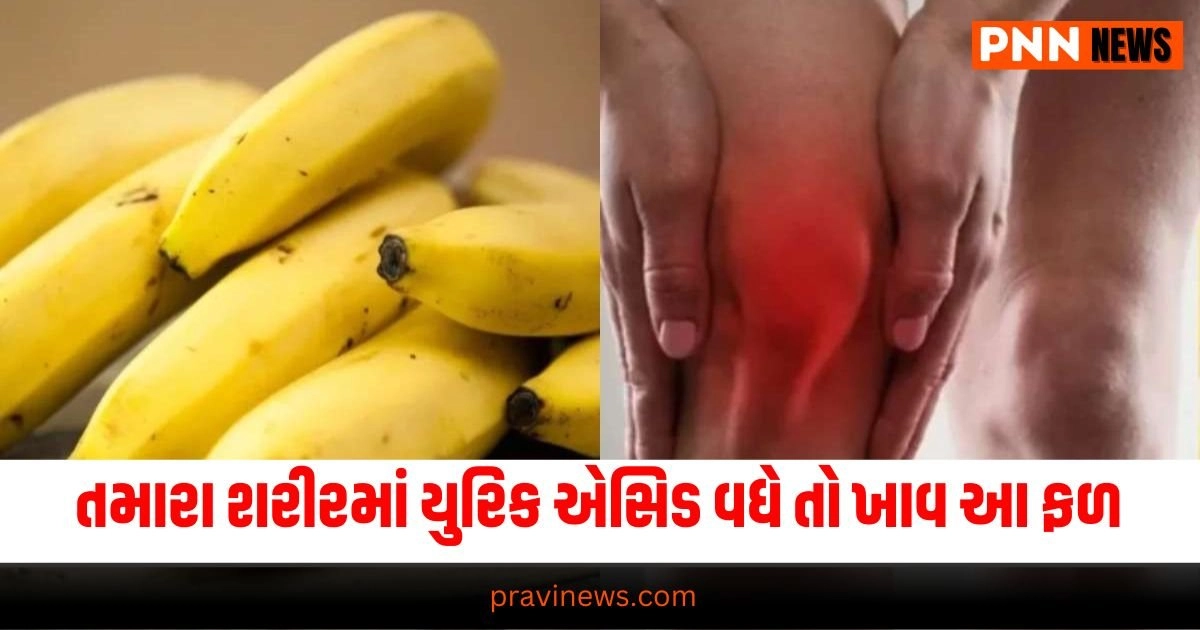 Fruits in uric acid : વધી ગયું છે તમારા શરીમાં યુરિક એસિડ તો આજ થી શરુ કરી આ ફળ ખાવાનું, ઝટપટ ઘટી જશે એસિડનું લેવલ https://www.pravinews.com/tag/lifestyle