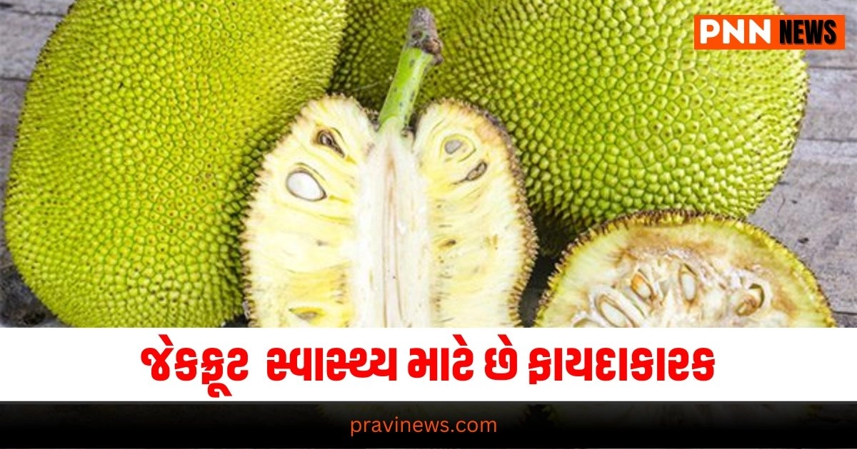 Health News, Jackfruit Benefits, Healthy Eating, Nutritional Value, Jackfruit Health Benefits, Fruit Nutrition, Health Tips, Jackfruit Properties, Wellness News, Nutritious Fruits, Jackfruit Uses, Health Advantages, Fruit Health Benefits, Jackfruit for Wellness, Diet and Nutrition, Healthy Lifestyle, Jackfruit Facts, Superfoods, Fruit Benefits, Healthy Diet,