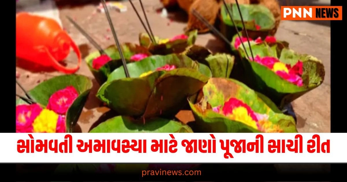 Somvati Amavasya 2024 Dates, Bhadrapada Amavasya September, Somvati Amavasya Pooja, Somvati Amavasya Rituals, Amavasya 2024 Schedule