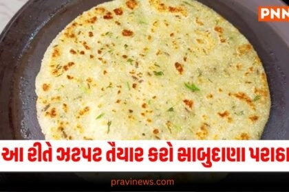 Food News. Sabudana Paratha Recipe - Quick Sabudana Paratha - Easy Sabudana Paratha Recipe - Sabudana Paratha Ingredients - How to Make Sabudana Paratha - Sabudana Paratha Cooking Method - Indian Flatbread Recipe - Breakfast Recipe - Snack Recipe - Sabudana Recipes - Paratha Recipes