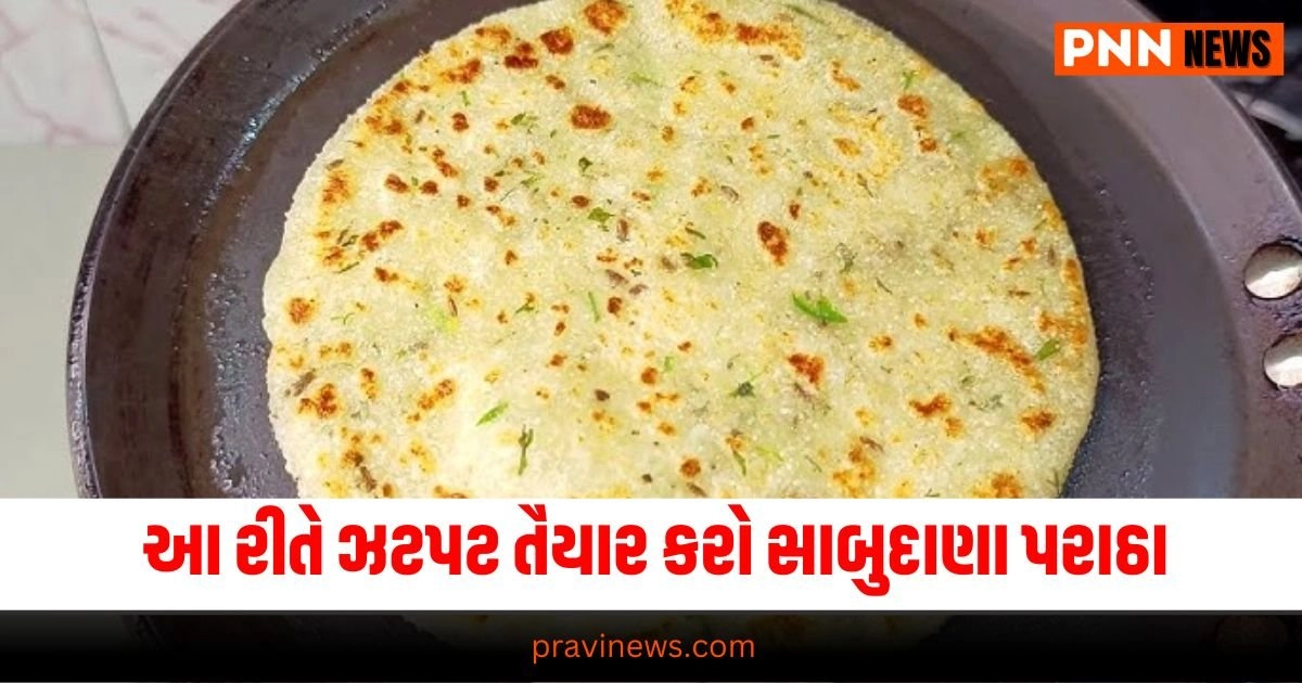 Food News. Sabudana Paratha Recipe - Quick Sabudana Paratha - Easy Sabudana Paratha Recipe - Sabudana Paratha Ingredients - How to Make Sabudana Paratha - Sabudana Paratha Cooking Method - Indian Flatbread Recipe - Breakfast Recipe - Snack Recipe - Sabudana Recipes - Paratha Recipes