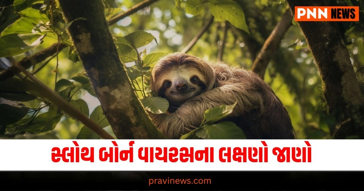 National News , Sloth Born Virus - Virus Outbreak in Europe - Symptoms of Sloth Born Virus - How to Prevent Sloth Born Virus - Sloth Born Virus Infection - Virus Spread in Europe - Sloth Born Virus Transmission - Sloth Born Virus Treatment - European Health Alert - Virus Epidemic