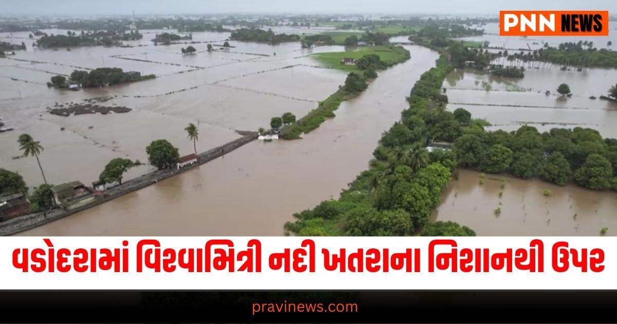 Gujarat Rain, વડોદરા વરસાદ, Rainy weather, Vadodara Rain,