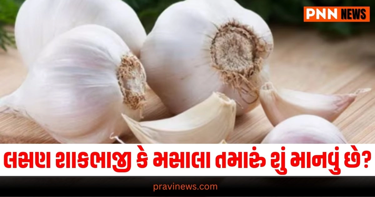 Garlic Spice Or Vegitable: લસણ શાકભાજી છે કે મસાલા તમારું શું માનવું છે? કોર્ટે આપ્યો પોતાનો નિર્ણય https://www.pravinews.com/world-news-in-gujarati/independence-day-2024-pm-modi-broke-his-own-record-gave-the-longest-speech-of-98-minutes-29837