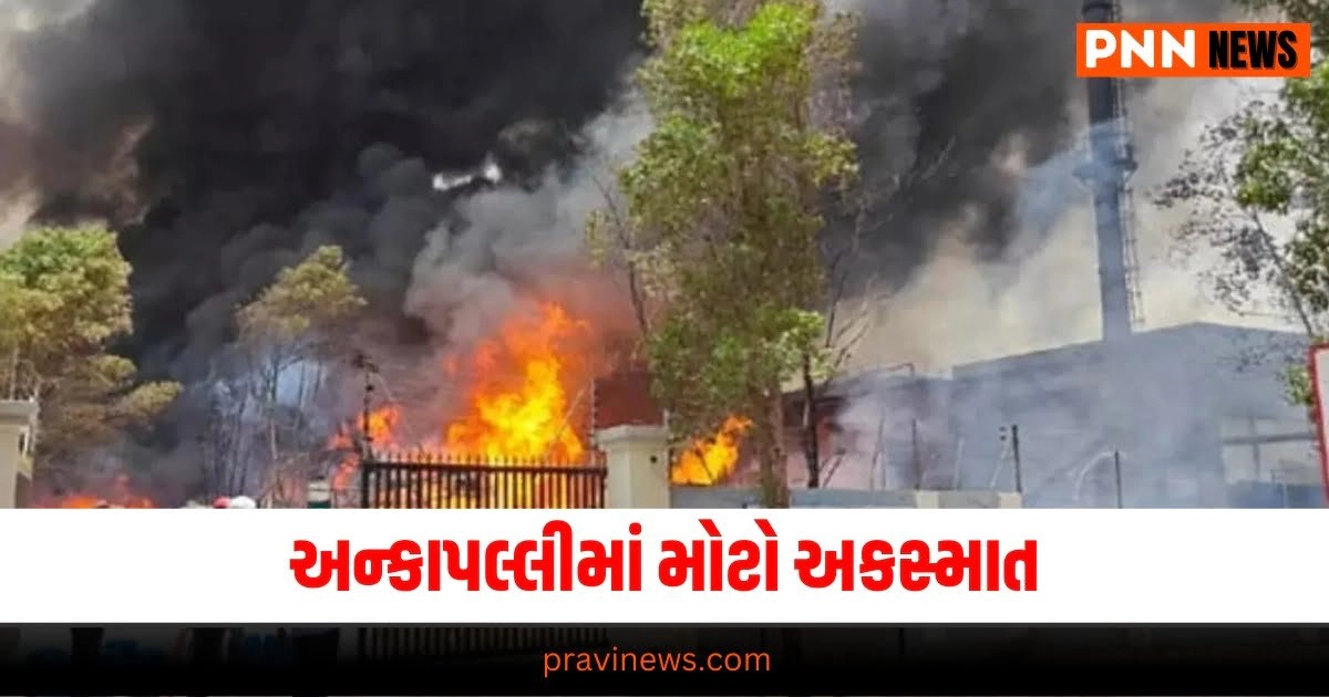 "Andhra Pradesh, Andhra Pradesh chemical factory blast, ankapalli chemical factory blast, achyutapuram sez, andhra pradesh news" Andhra Pradesh