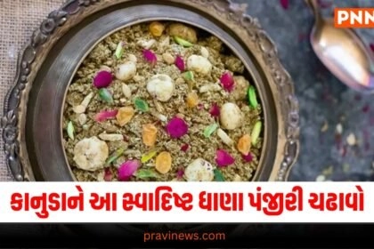 List Of Krishna Temples in India, Krishna Temples in India 2024, Krishna Temples in India, Lord Krishna Temples in India, Krishna Temple in Gujarat, Krishna Temple in Rajsthan, Krishna Temple in Krishna Temple in Mathura, Lord Krishna Temple In World, Biggest Krishna Temple In India, Oldest Krishna Temple In India, Krishna Temple, Lord Krishna, Travel, Tourism, Lifestyle, જન્માષ્ટમી 2024, કૃષ્ણ જન્માષ્ટમી 2024, ભારતમાં કૃષ્ણ મંદિરો, કૃષ્ણ મંદિર, ભગવાન કૃષ્ણ, ભગવાન કૃષ્ણના પ્રખ્યાત મંદિરો