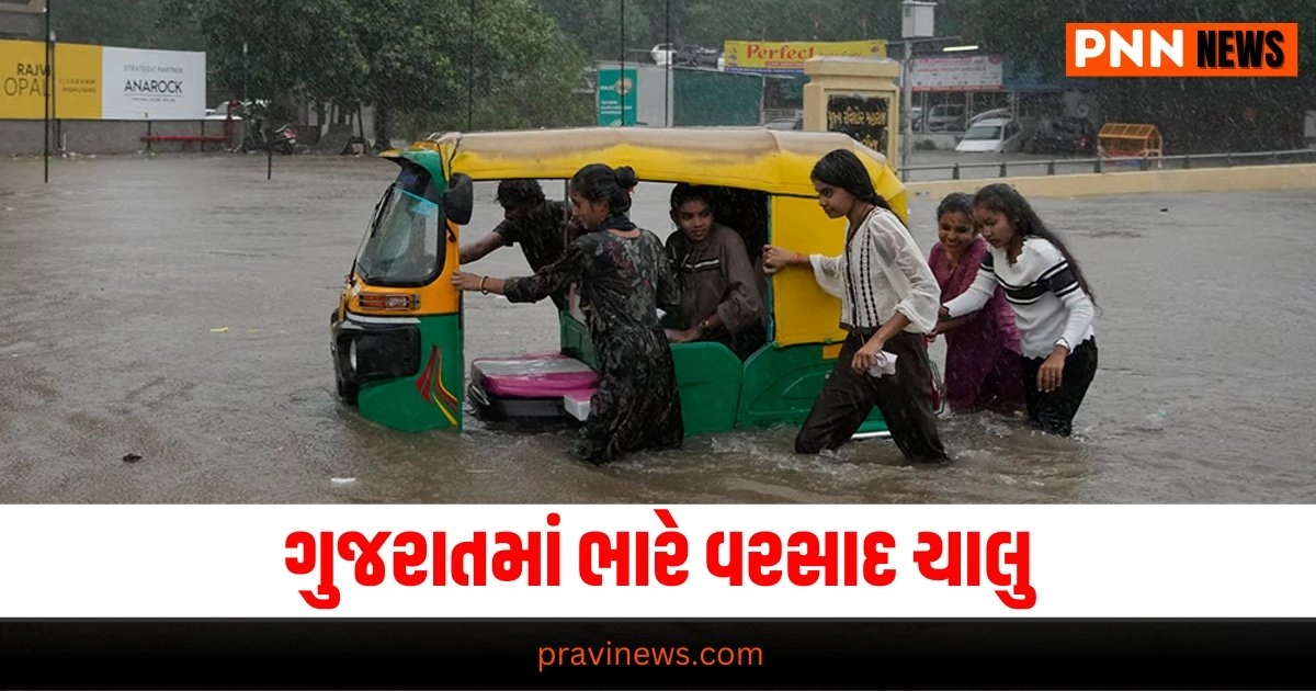 Gujarat News, ગુજરાત વરસાદ, MONSOON, Heavy Rain