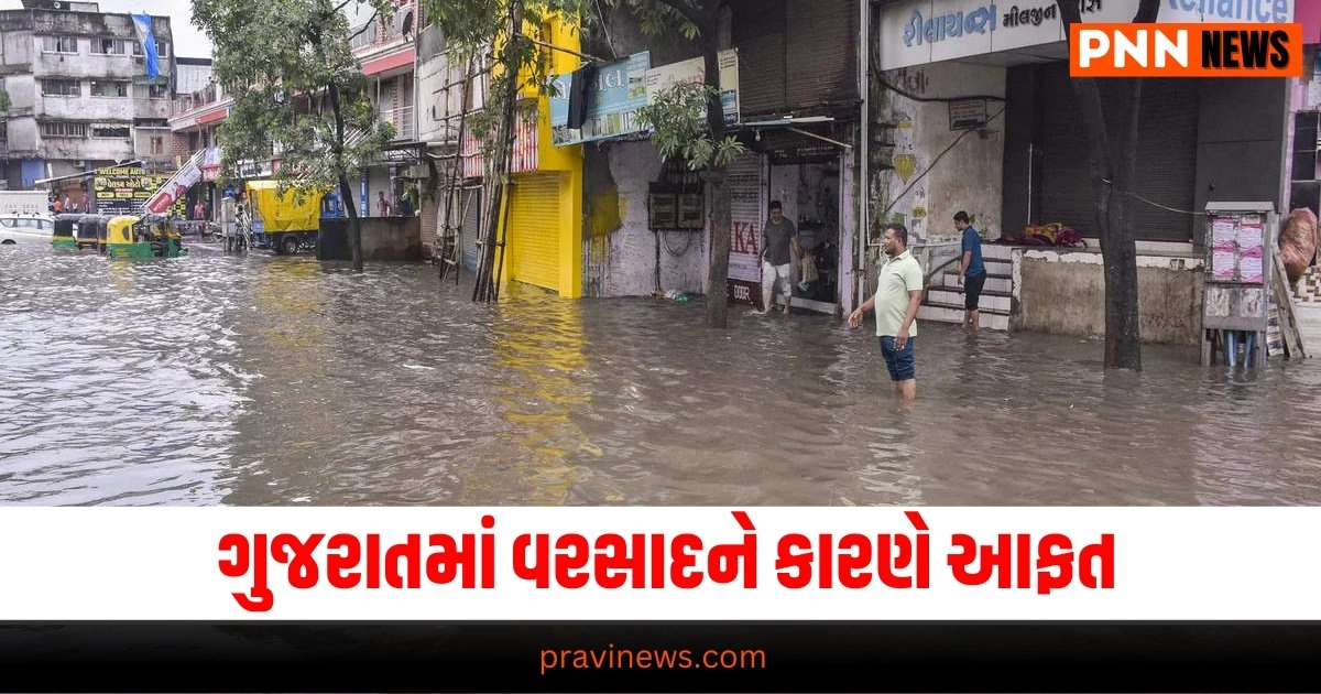 Gujarat, ભારે વરસાદ, Gujarat Rain News, Heavy Rain,