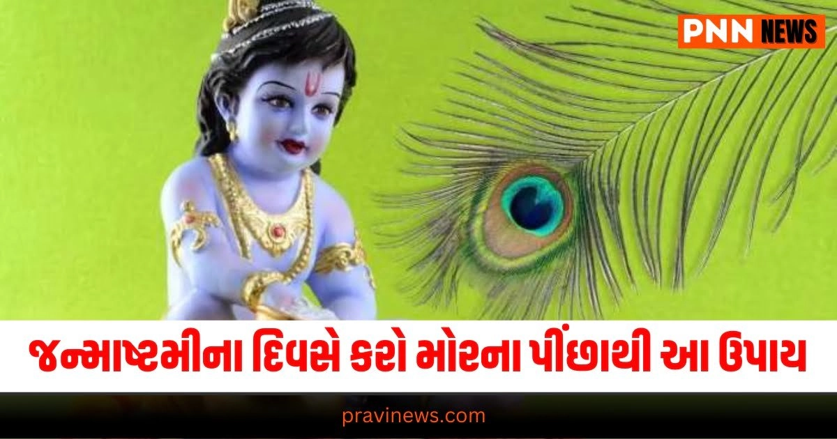   Janmashtami 2023, Astrology, Janmashtami, Lord krishna,Best Vastu tips for home, Drawing Room Vastu Tips, Money Vastu Tips, Vastu Tips For Business, શ્રેષ્ઠ વાસ્તુ ટિપ્સ, ઘર માટે શ્રેષ્ઠ વાસ્તુ ટિપ્સ, ડ્રોઇંગ રૂમ વાસ્તુ ટિપ્સ, મની વાસ્તુ ટિપ્સ, વ્યવસાય માટે વાસ્તુ ટિપ્સ, Gujarati news, latest Gujarati news, latest news in Gujarati, breaking news in Gujarati, Gujarati breaking news, News in Gujarati , latest janmashtami tips, 