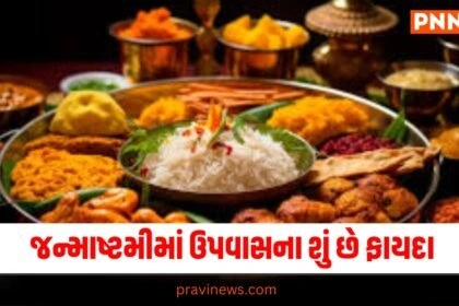 જન્માષ્ટમી ઉપવાસ ફાયદા, ઉપવાસ અને સ્વાસ્થ્ય, જન્માષ્ટમી 2024 ઉપવાસ, આરોગ્ય ફાયદા ઉપવાસ, ઉપવાસની મહત્વતા, જન્માષ્ટમીમાં ઉપવાસનું મહત્વ, કૃષ્ણ ઉપવાસ ફાયદા, સ્વાસ્થ્ય માટે ઉપવાસ, ઉપવાસના ફાયદા 2024,