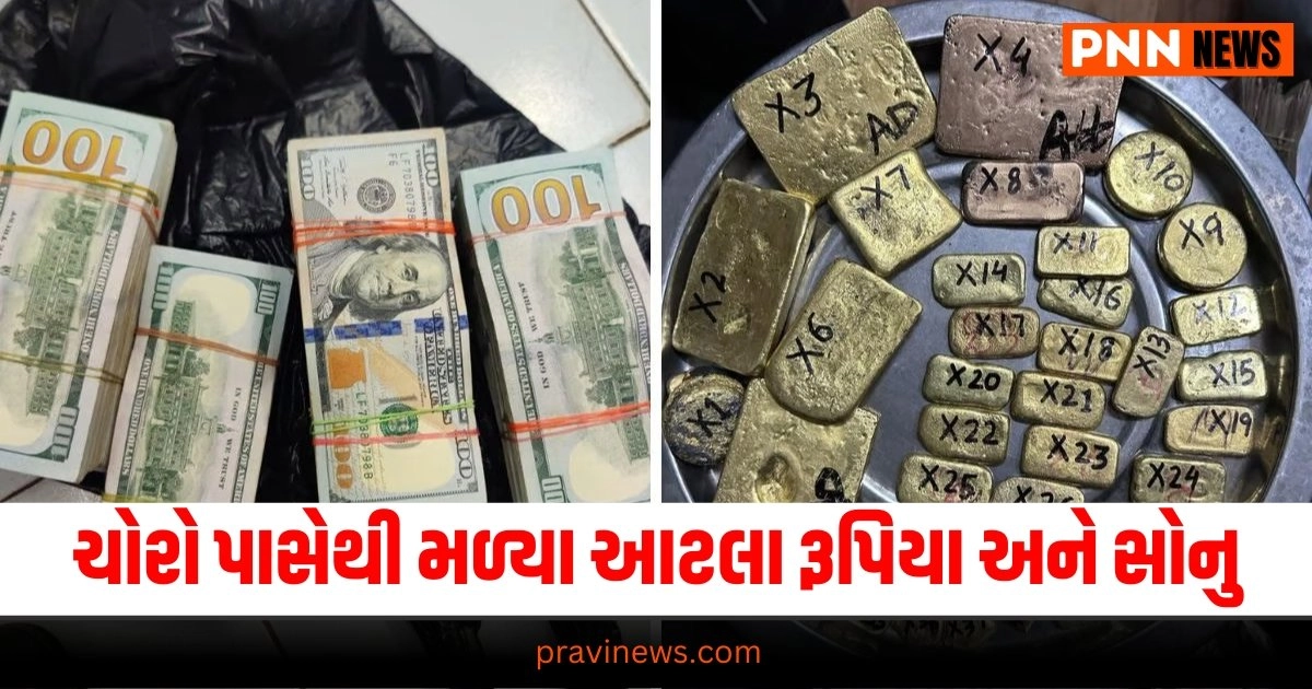 National News Mumbai, Daanchor Arrest Mumbai, Cash and Gold Seized, Mumbai Crime News, Robbery Investigation Mumbai