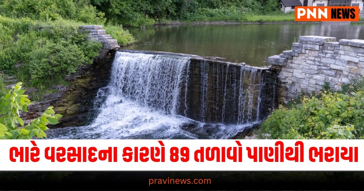 Gujarat Rain, Heavy Rainfall, Lakes Overflow, Waterlogging, Flood Situation, Overflowing Reservoirs,