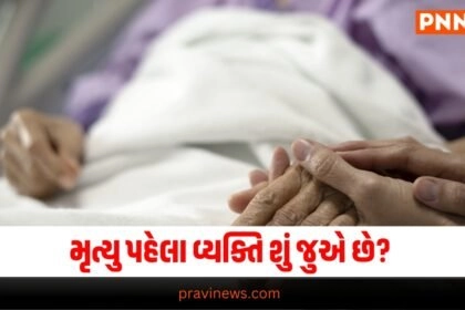 jano su thay chhe mrutyu pehla,  top offbeat news here, Latest Offbeat update  