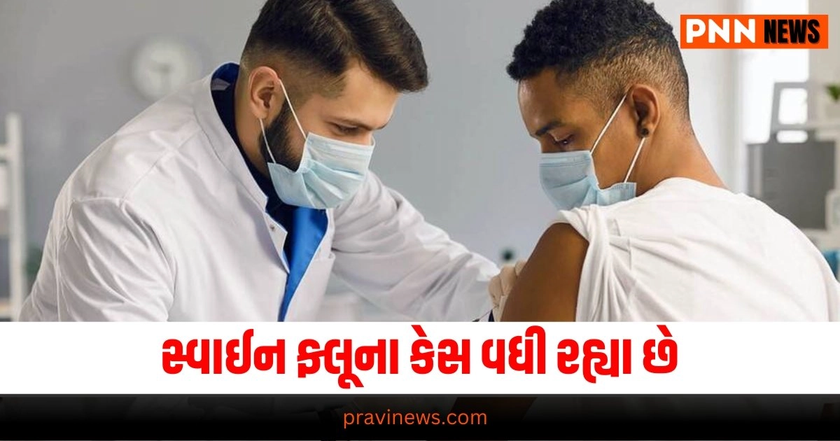 Swine Flu Cases Increase, National News Swine Flu, Swine Flu Alert, Health Advisory Swine Flu, Swine Flu Precautions