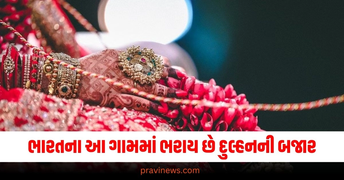 લગન કરવાના બાકી છે ? તો ભારતના આ ગામમાં જતા રહેજો અહીંયા ભરાય છે દુલ્હનની બજાર, લોકો પત્નીઓને લેવા માટે દૂર-દૂરથી આવે છે. https://www.pravinews.com/lifestyle/health-fitness/how-to-melt-belly-fat-natural-drinks-to-get-rid-of-obesity-37839