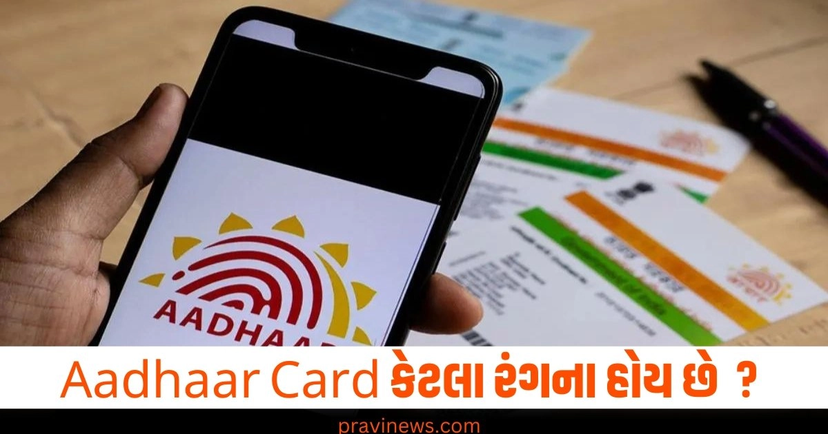 ક્યારેય વિચાર્યું છે કે કેટલા રંગના હોય છે Aadhaar Card ? જાણો શું છે ક્યા રંગનો અર્થ https://www.pravinews.com/world-news-in-gujarati/state-bank-of-india-job-latest-update-58-specialist-cadre-officer-how-to-apply-fees-qualification-41547