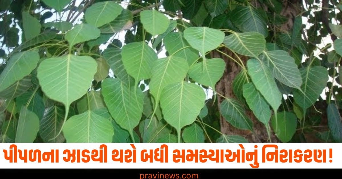 આર્થિક સંકટ હોય કે કુંડળીમાં ગ્રહદોષ, પીપળના ઝાડથી થશે તમારી બધી સમસ્યાઓનું નિરાકરણ! https://www.pravinews.com/automobile/car-buyer-guide-why-is-4x4-written-on-back-of-vehicles-mahindra-thar-roxx-what-does-it-mean-41442