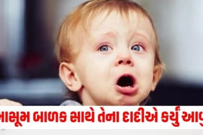 માસૂમ બાળક ઘટના, દાદીનો ક્રિયા, બાળકનું વર્તન, દાદીની કાર્યવાહી, બાળકનું શાંતિ સંબંધ,