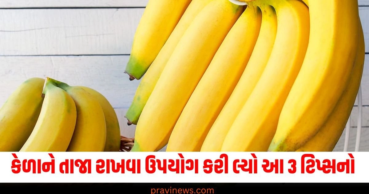 લાંબા સમય સુધી કેળાને રાખવા માંગો છો એકદમ તાજા, ઉપયોગ કરી લ્યો આ 3 ટિપ્સનો https://www.pravinews.com/world-news-in-gujarati/pm-modi-america-visit-silver-train-delhi-delaware-indian-railways-pashmina-shawl-details-39911